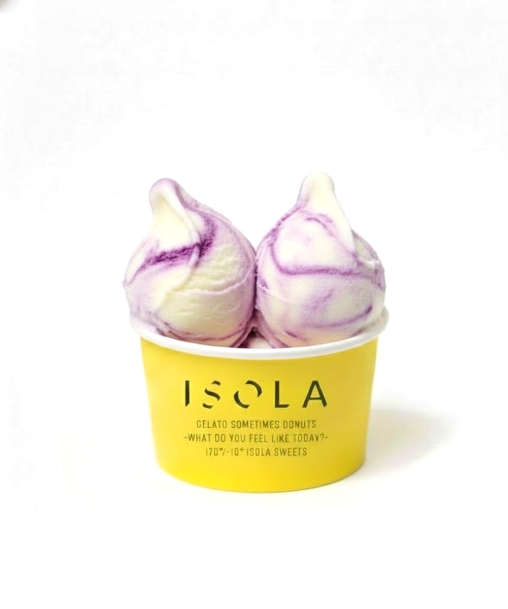 Blueberry Yogurt